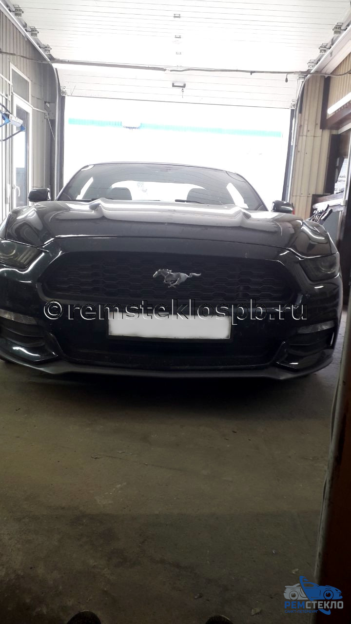 Ford Mustang V 04-14