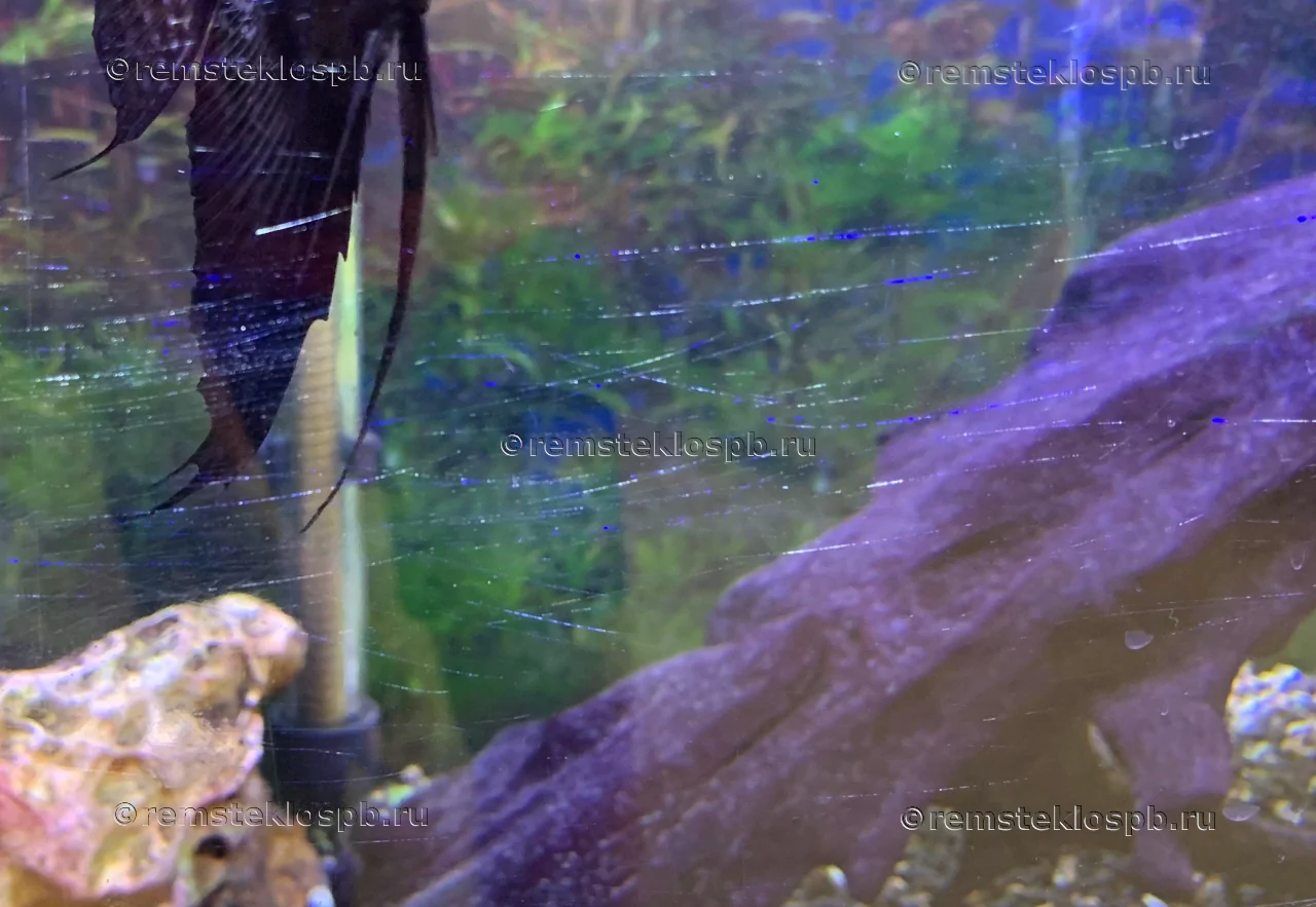 Причины появления царапин на стекле аквариума